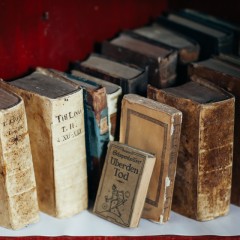 Razvitak turizma u Dubrovniku i okolici