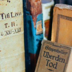 Zapisi notara Andrije Beneše 1295-1305